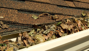 Clogged Gutters Reno NV | Benefits Of A Leaf Guard For Your Gutters | Gutter Brothers in Reno, NV
